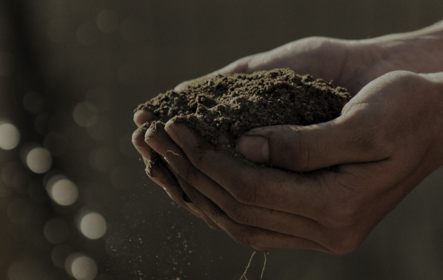 Contamos con el Certificado ISO 14001